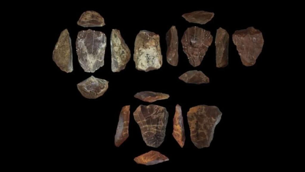 Вчені знайшли найдавніше підтвердження взаємодії Homo sapiens та неандертальців