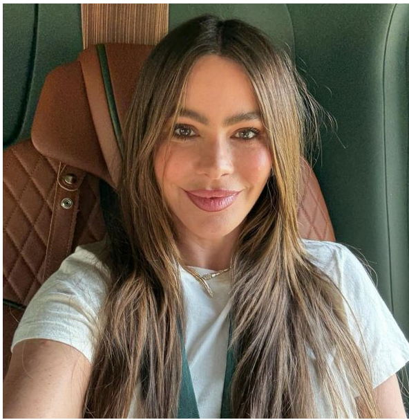 Софія Вергара вийшла на публіку у відвертому вбранні (фото)