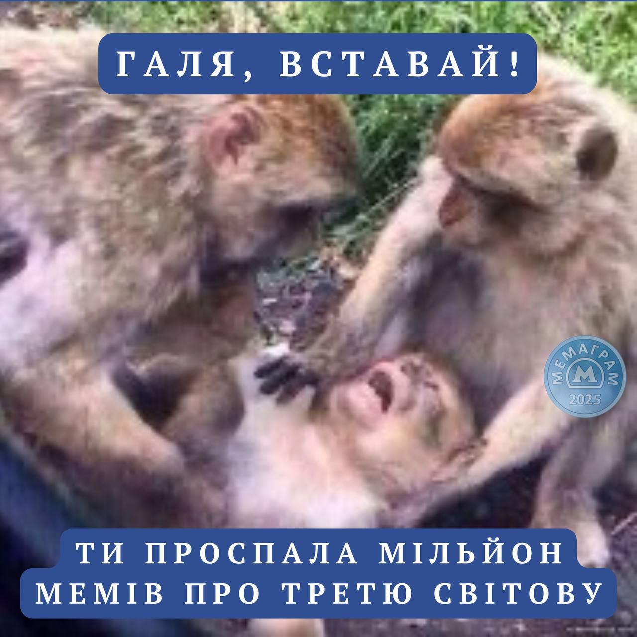 Третя світова та 5 стаття НАТО: у мережі жартують про російські дрони в Польщі