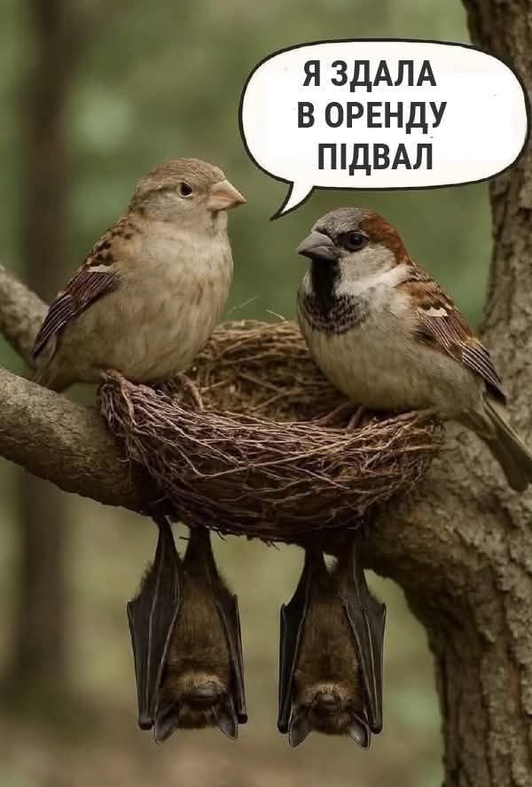 Підбірка блогожаб та фотоприколів від UAINFO за 26 вересня