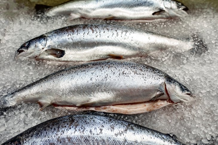 Топ-5 продуктів, які категорично не можна їсти з рибою