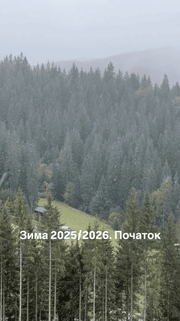 Сториз Тімура Мірошниченка / © instagram.com/timur.miroshnychenko
