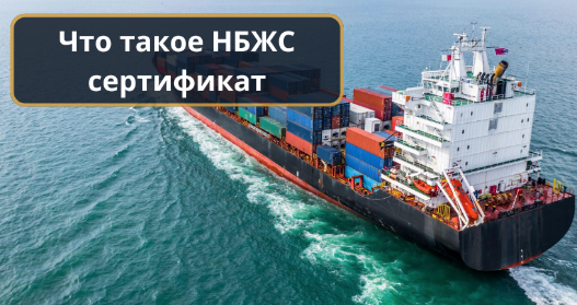 Что такое сертификат НБЖС: где оформить, документы и этапы получения
