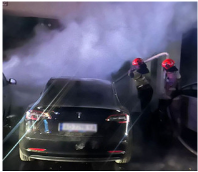 18-річного українця, який підпалив Tesla на замовлення, взяли під варту