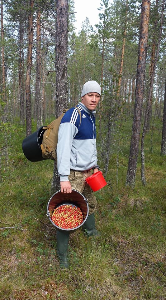Лесные братья. Как украинцы по безвизу ягоды в Швеции собирают