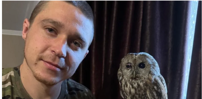 Над оком була кров. Український прикордонник врятував сову