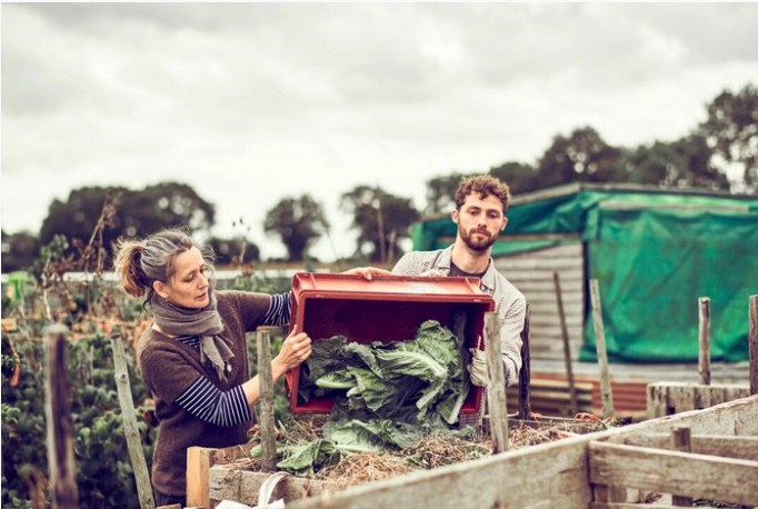 Компост узимку: як зберегти тепло, вологу та активність бактерій