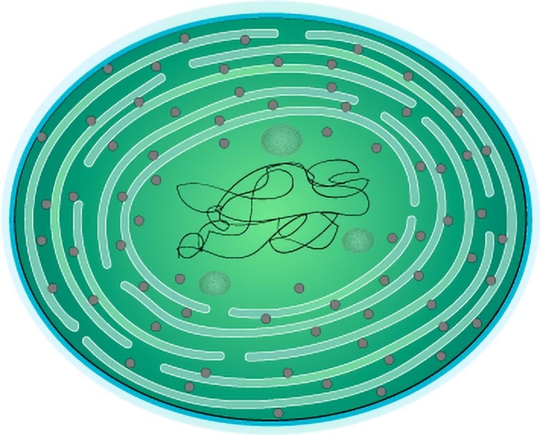 Японські вчені довели, що хімія ранньої Землі могла гальмувати розвиток життя майже на мільярд років