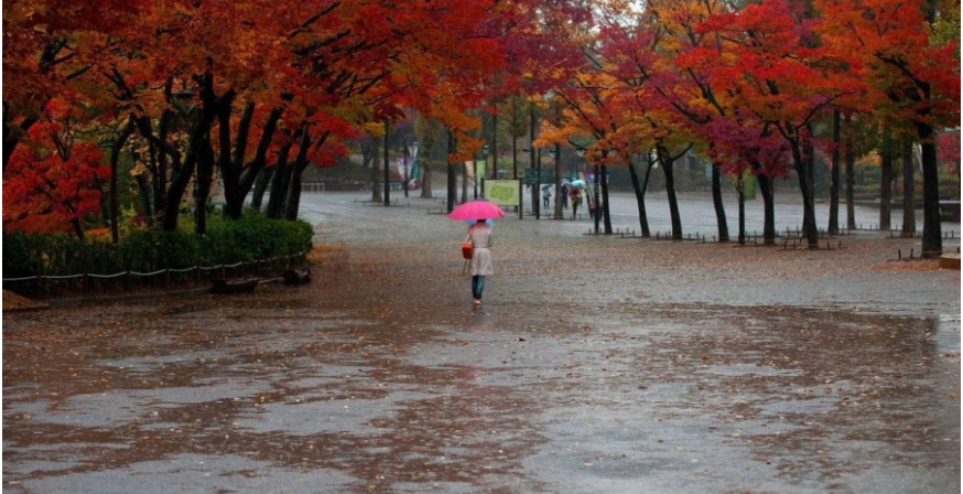 Зима близько? Синоптики розповіли, коли чекати похолодання та чи буде сніг