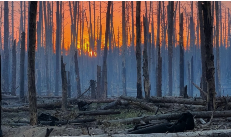 Україна може стати першою державою, яка добиватиметься компенсації за кліматичні викиди, спричинені війною