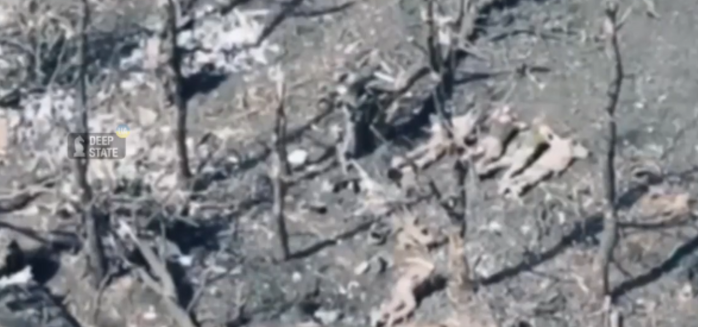 Окупанти знову розстріляли українських військових, які здалися в полон