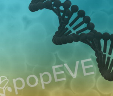 Вчені розробили ШІ для діагностики рідкісних генетичних захворювань