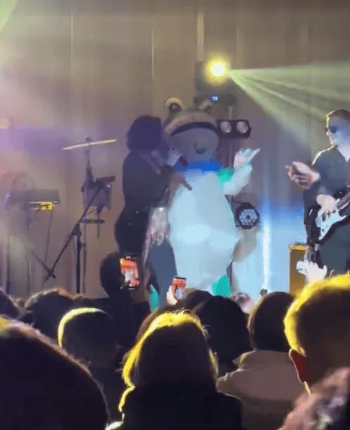 Та сама Жабка на концерті Олі Цибульської