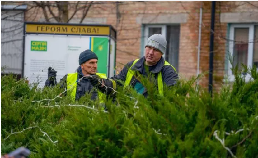 У Бучі розпочали встановлювати різдвяну ялинку