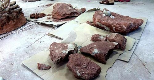 стародавні яйця динозавра