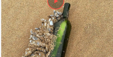 Океан виніс на берег записку пасажира круїзного лайнера, який відплив 16 років тому (фото)