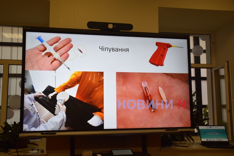 Країни Чорноморського регіону об’єднуються в рамках проєкту BLISS заради майбутнього осетрових