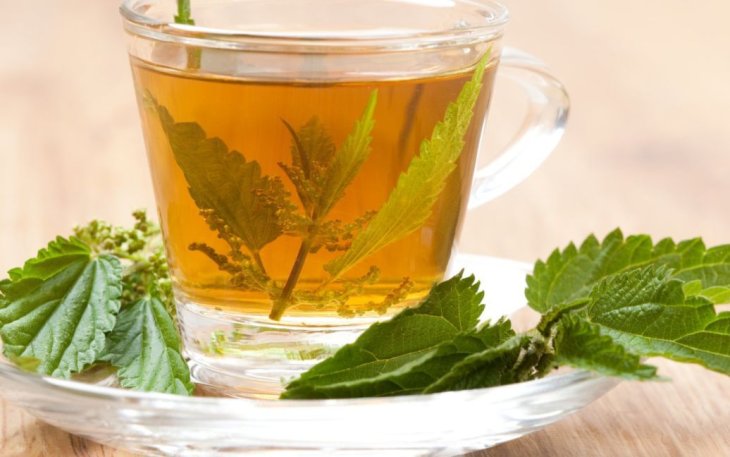 Який бур’ян здатен миттєво знизити артеріальний тиск і зняти втому: не поспішайте його викидати