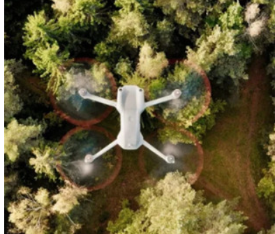 Відновлення планети. У Японії створили дрони з ШІ, які висаджують дерева у 10 разів швидше за людей