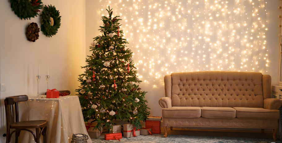 Яким деревом замінити ялинку — найкращі альтернативи для дому