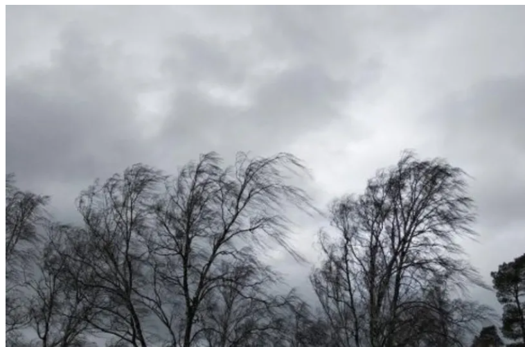 Сильні пориви вітру та потепління: що чекає українців у найближчі дні