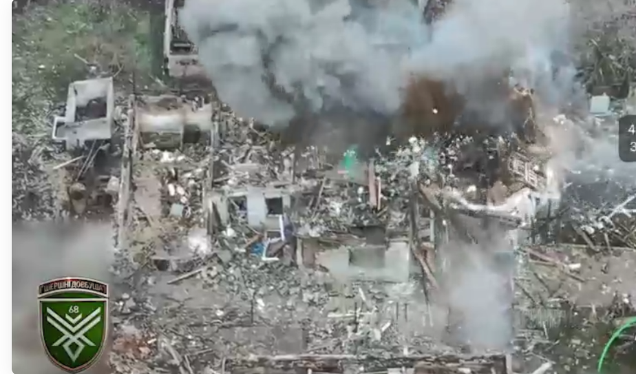 «Шершні Довбуша» знищують окупантів на Покровському напрямку