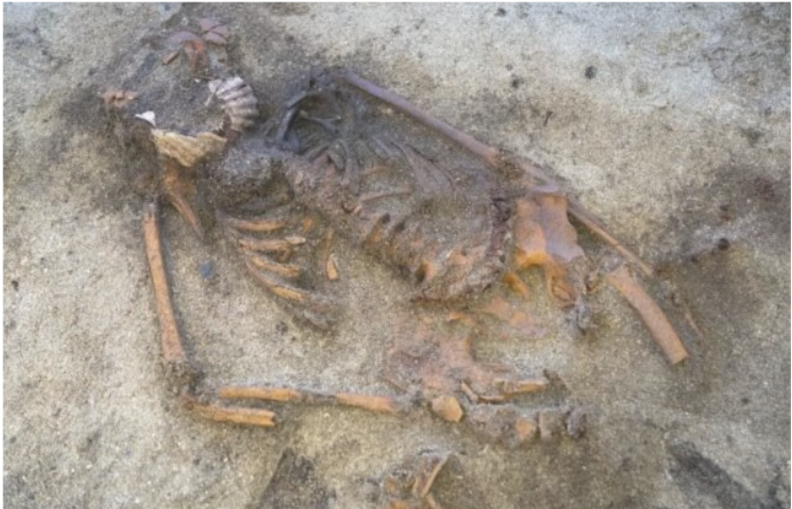 Незвичайне поховання часів вікінгів здивувало науковців