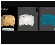 Археологи знайшли у Мексиці череп із невідомою формою деформації