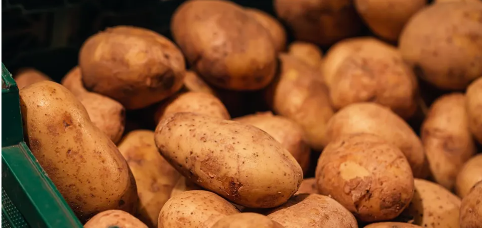 В Україні переписали ціни на картоплю: скільки тепер коштує кілограм
