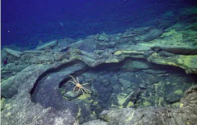 Науковці попередили про аномальне виверження підводного вулкану Axial Seamount найближчим часом