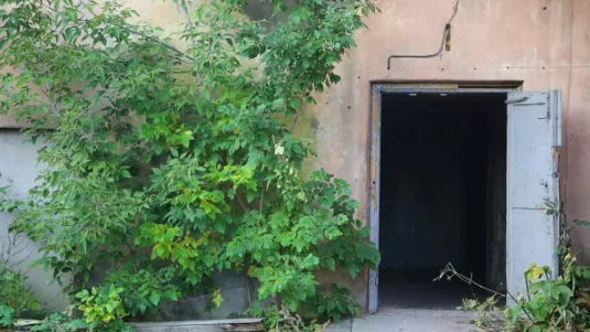 «‎40 років я задавався питанням»: дослідник із Нової Зеландії наважився відчинити загадкові двері в скелі