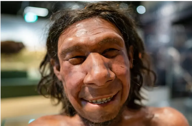 Вчені назвали хвороби, які Homo sapiens успадкували від неандертальців