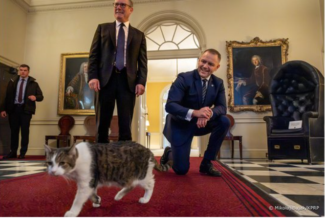 Головний мишолов резиденції уряду Великої Британії знову сколихнув ЗМІ та соціальні мережі