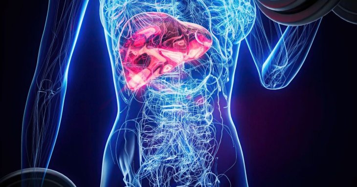 П&rsquo;ять ознак, що&nbsp;настав час звернути увагу на&nbsp;печінку