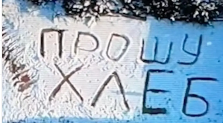 Український дрон врятував від голоду стареньку у Костянтинівці