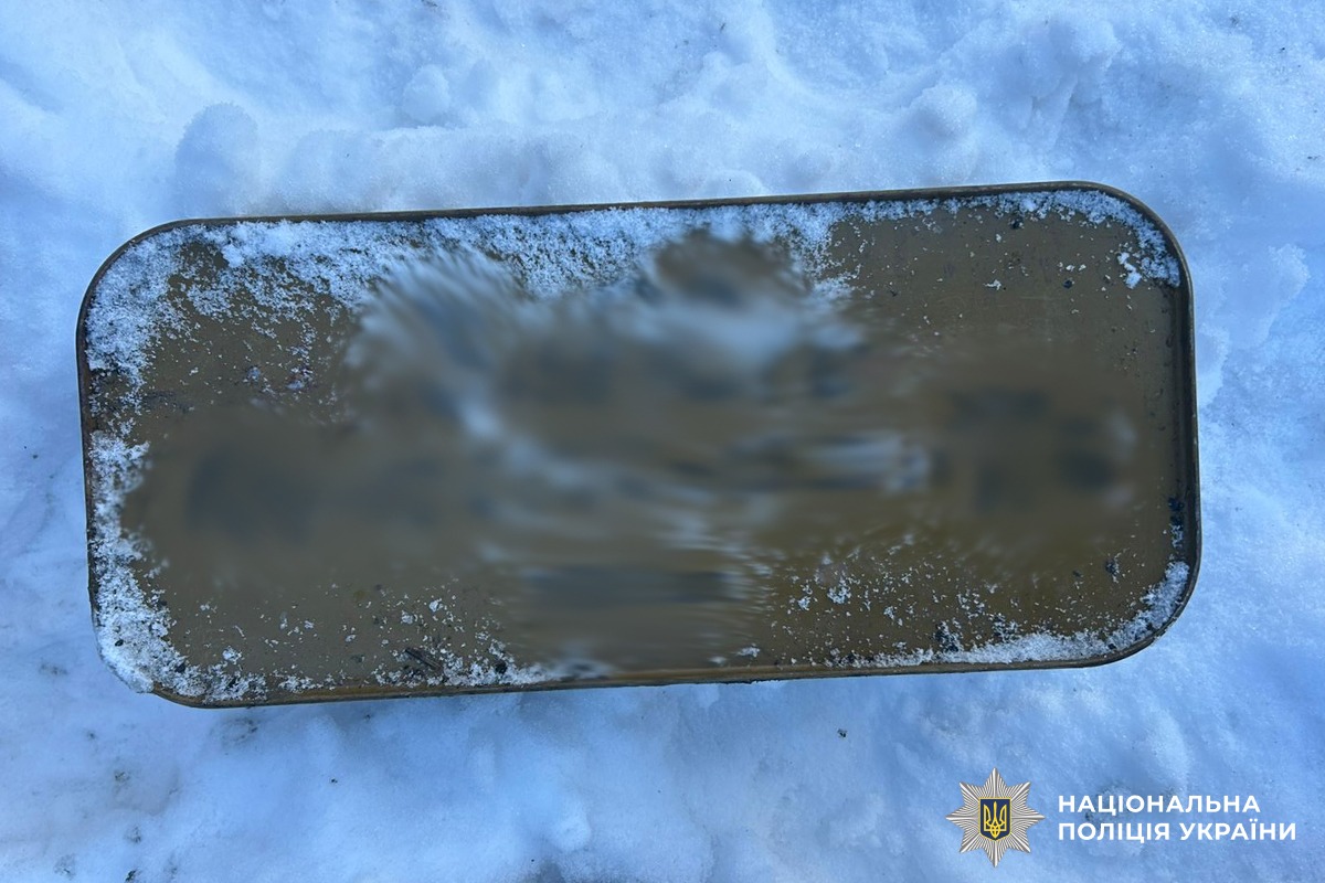 У Чернівцях поліцейські вилучили у чоловіка арсенал боєприпасів