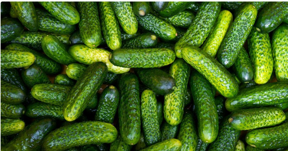 Чергове зростання цін на огірки в Україні: що за цим стоїть