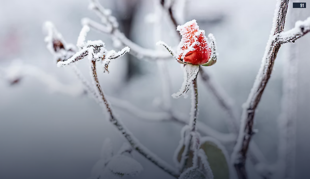 Синоптик сказала, коли відступлять морози