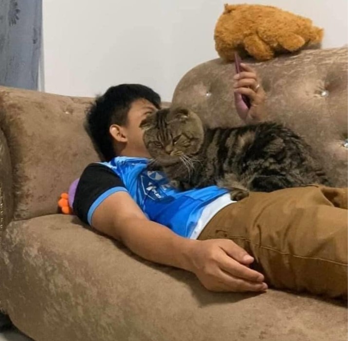 Мережі насмішила історія жінки, якій доводиться боротися за увагу чоловіка з котом (фото)