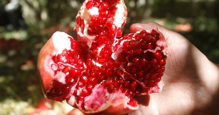 Названо 11&nbsp;продуктів із&nbsp;потужною антиоксидантною дією: що&nbsp;варто додати до&nbsp;раціону