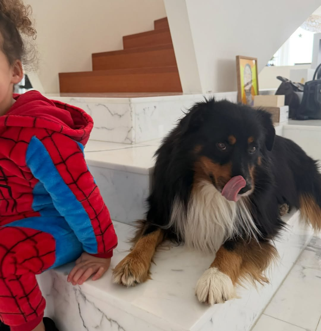 instagram.com/elisvitolina