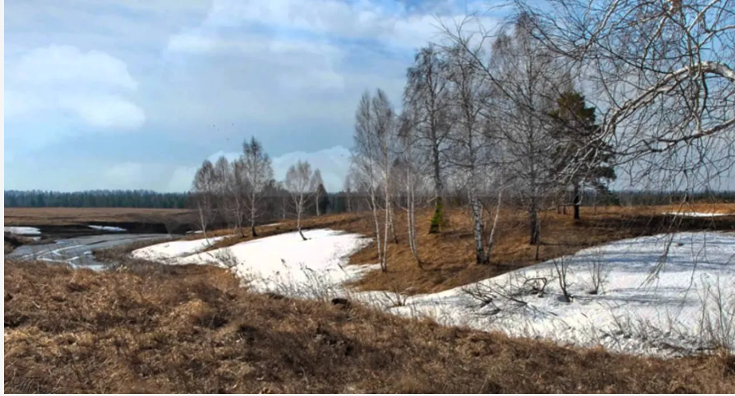 Не за календарем: українців попередили про прихід астрономічної весни