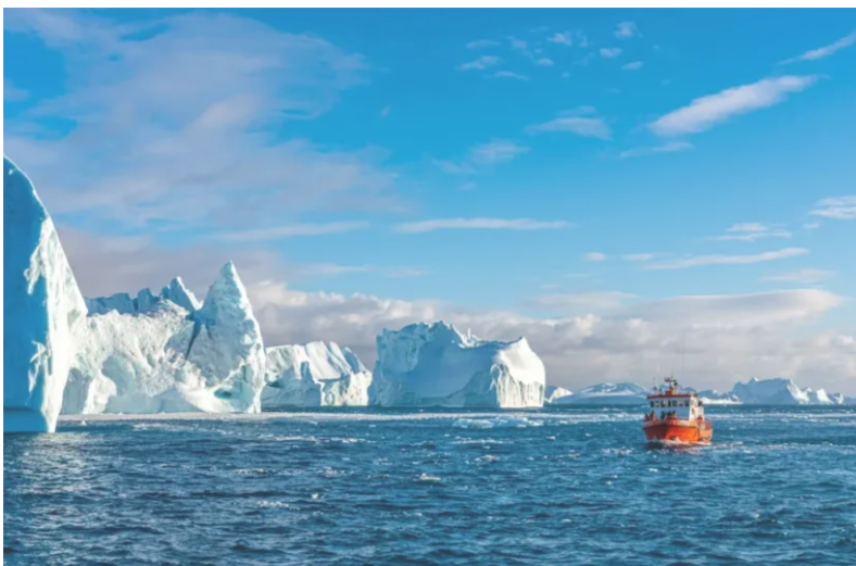 В Антарктиді вперше помітили акулу (ФОТО)