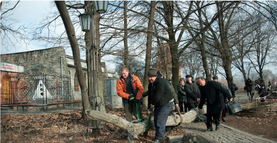 Чи можна без дозволу рубати на дрова дерева, які ростуть на межі з сусідом 