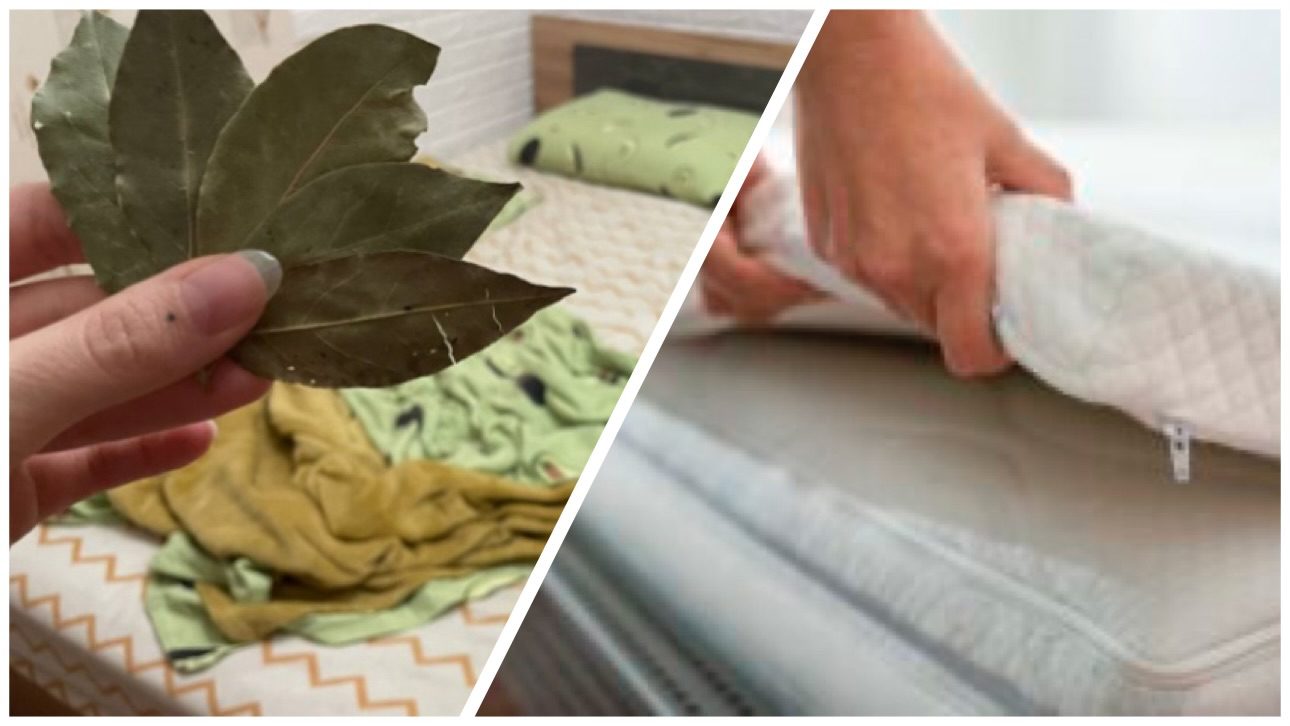 Господині розповіли, навіщо класти лавровий лист під матрац 