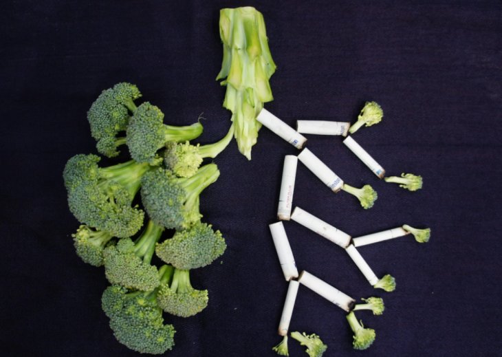 Медики назвали продукти, які захищають легені курців