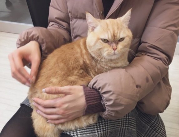 Похмурий кіт знайшов родину і одразу повеселішав (ФОТО)