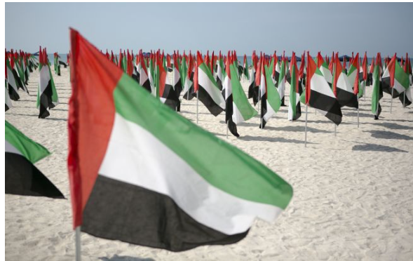 ОАЕ долучаються до оборонної місії США в Ормузькій протоці