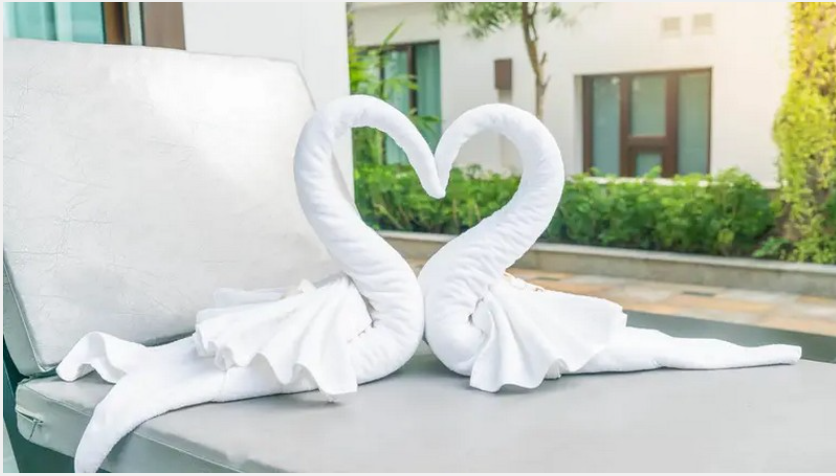 Битва рушників: як туристка та покоївка влаштували креативну дуель у готелі