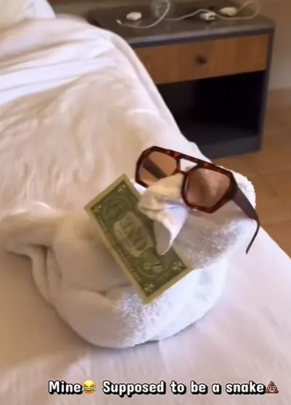 Битва рушників: як туристка та покоївка влаштували креативну дуель у готелі